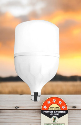 Dunagiri 25 W Basic Standard B22 LED Bulb(White)