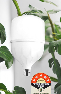 Dunagiri 25 W Basic Standard B22 LED Bulb(White)