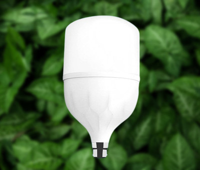 Dunagiri 30 W Basic Standard B22 LED Bulb(White)