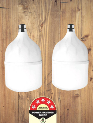 Dunagiri 35 W Basic Standard B22 D LED Bulb(White, Pack of 2)