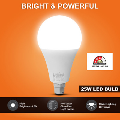 AVINDRA 25 W Basic Round B22 LED Bulb(White)