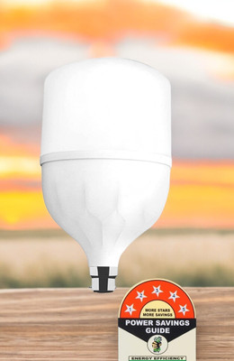 Dunagiri 25 W Basic Standard B22 LED Bulb(White)