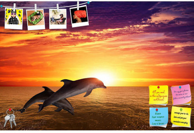 Artzfolio Marine Life Frameless Bulletin Board Notice Pin Board 24 x 16 inch (61 x 41 cms) Cork Bulletin Board(Multicolor 24 x 16 inch (61 x 41 cms))