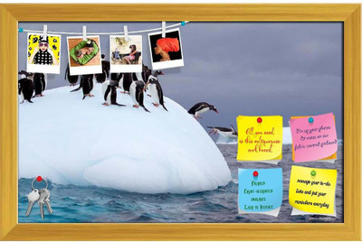 Artzfolio Gentoo Penguin Jumping Into Water From Iceberg Pinboard Golden Frame 18.7x12inch Cork Bulletin Board(Multicolor 18.7 x 12 inch (47 x 30 cms))