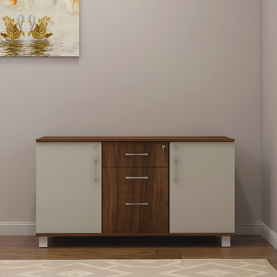 WOODYOU Engineered Wood Free Standing Cabinet(Finish Color - Frosty White, Knock Down)