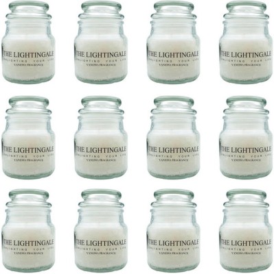 THE LIGHTINGALE Jar Vanessa Pack of 12 Candle(Silver, Pack of 12)
