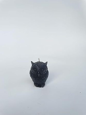 Hecate Wizard Mall House Candle-Home Candle-Spell Candle-Ritual-Magic-Home Decor-Room Decor Candle(Black, Pack of 1)