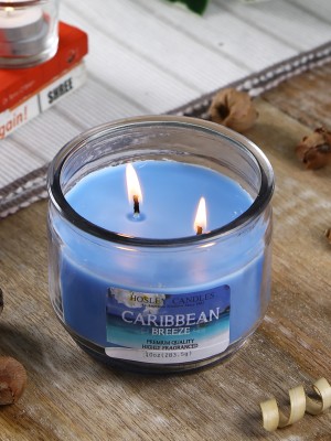 Hosley Caribbean Breeze Fragrance Two Wick Jar Perfect for Home Decor|Burn Time 70 Hour Candle(Blue, Pack of 1)
