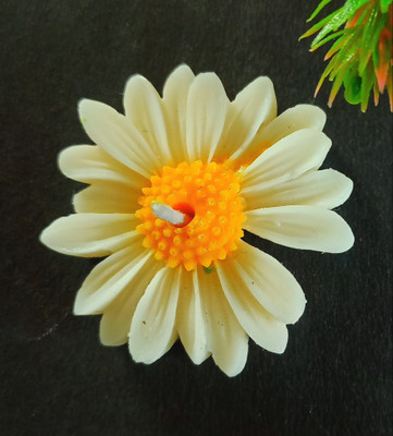 BHARTI TRADERS White daisy delight pure soy wax floating candles || 6 pcs Candle(White, Yellow, Pack of 6)