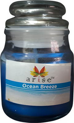 pookiemoon Jar Scented Ocean Breeze Candle(Blue, Pack of 1)