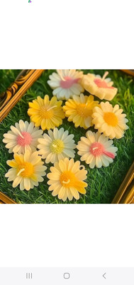 AMC Floated candles Candle(Multicolor, Pack of 6)