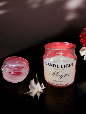SCENTORA NEW25_Mogra Scented Soy wax candle yakeen jar Candle(White, Pack of 1)