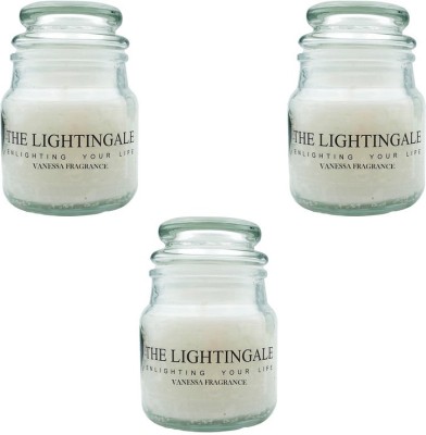 THE LIGHTINGALE Jar Vanessa Pack of 3 Candle(Silver, Pack of 3)