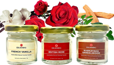 EBLOOMING Scented Candles Set For Home in Small Glass Jars I Rose, Vanilla, Sandalwood Candle(White, Pack of 3)