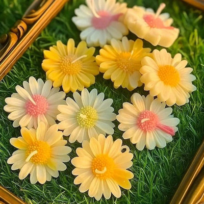 AMC Daisy flower 10 Candle(Multicolor, Pack of 10)