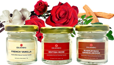EBLOOMING Scented Candles Set For Home in Small Glass Jars I Rose, Vanilla, Sandalwood Candle(White, Pack of 3)