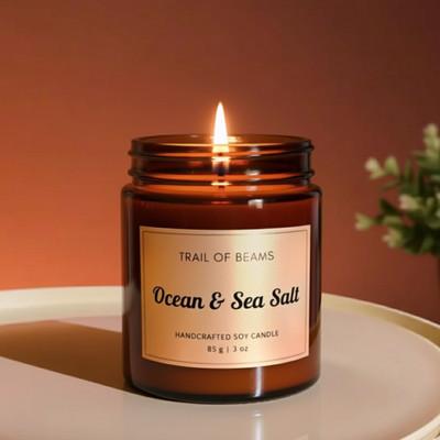 Trail of Beams Ocean & Sea Salt Scented Candle | Pure Soy | Home Decor, Gifting, Aromatherapy Candle(Brown, Pack of 1)
