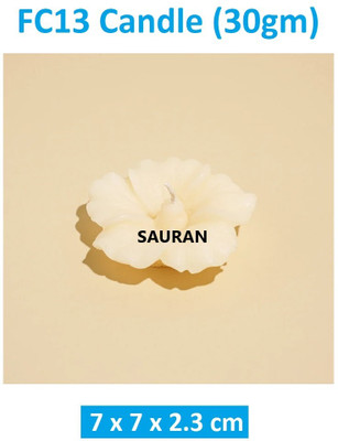 Sauran Pack of 5 FC13 Candle(White, Pack of 1)