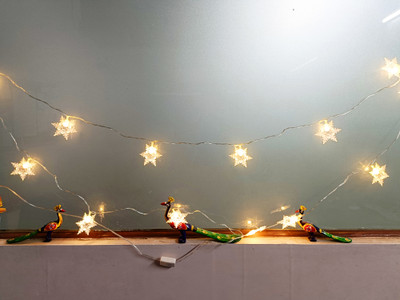 Vespa 14 LEDs 3 m Gold Steady Snow Flake Rice Lights(Pack of 1)