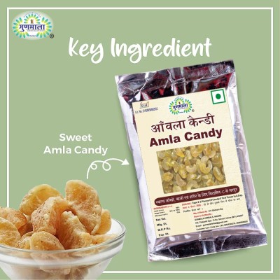 Gunmala Sweet Amla Candy, For Rich In Lot Of Minerals And Vitamin Amla Sour Candy(400 g)