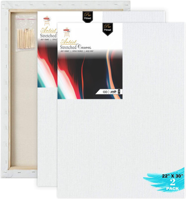 Variety Canvas 22 X 30 STRETCHED CANVAS Cotton Medium Grain Stretched Canvas Board, Pre Stretched Canvas, Primed Canvas Board, Board Canvas (Set of 2)(PURE WHITE)