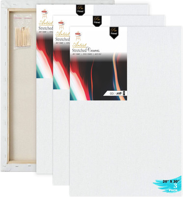 Variety Canvas 20 X 30 STRETCHED CANVAS Cotton Medium Grain Stretched Canvas Board, Pre Stretched Canvas, Primed Canvas Board, Board Canvas (Set of 2)(PURE WHITE)