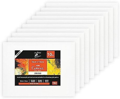 LITTLE BIRDIE Mini Stretched Canvas Boards for Painting 10pcs 4x3inch 230GSM Cotton Medium Grain Pre Stretched Canvas (Set of 10)(White)