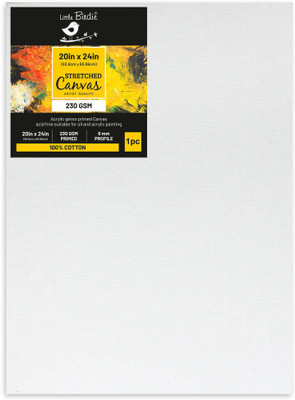 LITTLE BIRDIE Stretched Canvas Frame- 20 X 24Inch, 250Gsm, 1Pc Cotton Medium Grain Pre Stretched Canvas (Set of 1)(White)