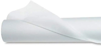 Ronesta RN 3MTR PAPER PASTING Cloth Soft Touch Canvas Roll (Set of 1)(White)