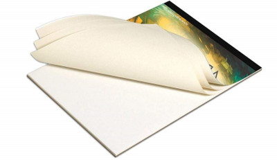 Eascan Art 8 x 10 Cotton Medium Grain Canvas Pad (Set of 1)(White)