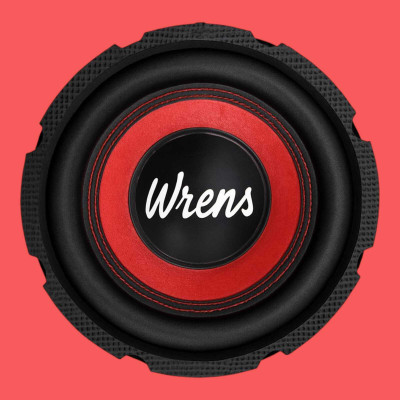WRENS High Power 8 Inch 120mm Magnet 480W Woofer for Car Tower Speaker System M. No 810 Coaxial Car Speaker(480 W)