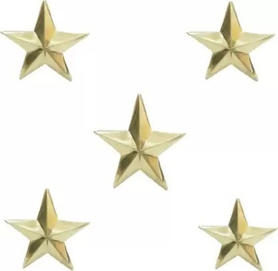 MODAROCK Emblem for Bike(Gold)