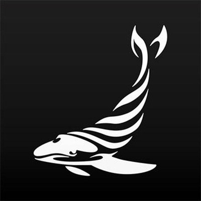 Xskin Sticker & Decal for Car & Bike(White)