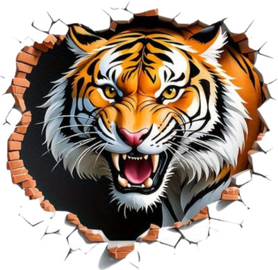 Librabazar Sticker & Decal for Car & Bike(Multicolor)