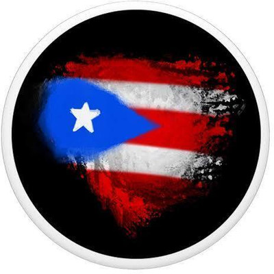 MODAROCK Sticker & Decal for Bike(Multicolor)