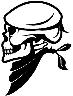 AarnaDecals Sticker & Decal for Car & Bike(Black)
