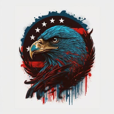 MODAROCK Sticker & Decal for Bike(Multicolor)