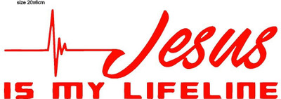 AarnaDecals Sticker & Decal for Car & Bike(Red)