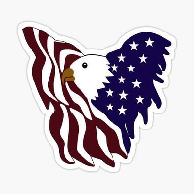 MODAROCK Sticker & Decal for Bike(Multicolor)