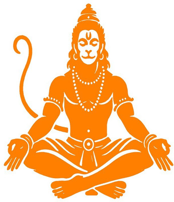 AarnaDecals Sticker & Decal for Car & Bike(Orange)