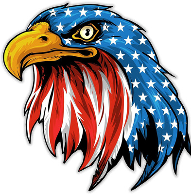 A1GRAPHIX Sticker & Decal for Car & Bike(Multicolor)