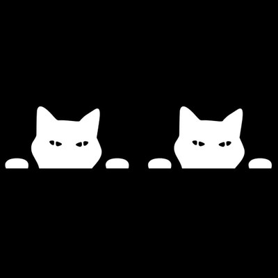 KREEPO Sticker & Decal for Car(White)