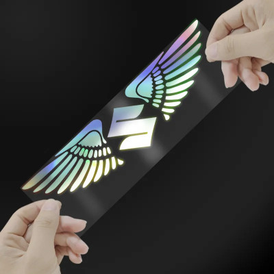 carempire Sticker & Decal for Car(White, Silver)