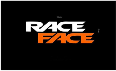 RUDRANSH Sticker & Decal for Car & Bike(Orange, White)