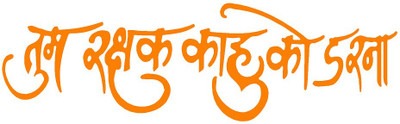 AarnaDecals Sticker & Decal for Car & Bike(Orange)