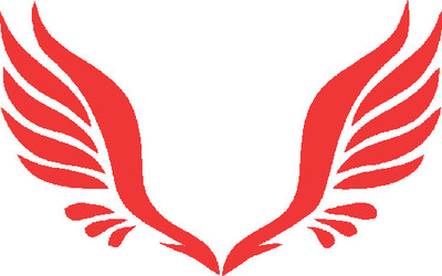 Nanjil Sticker & Decal for Car & Bike(Red)