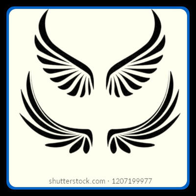 Sandhya Craft Sticker & Decal for Car & Bike(Black, White)