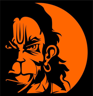 MODAROCK Sticker & Decal for Bike(Multicolor)