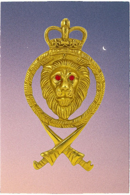 Golden Fox Emblem for Car & Bike(Gold)