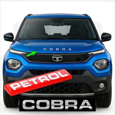 carmetics Emblem for Car(Silver)